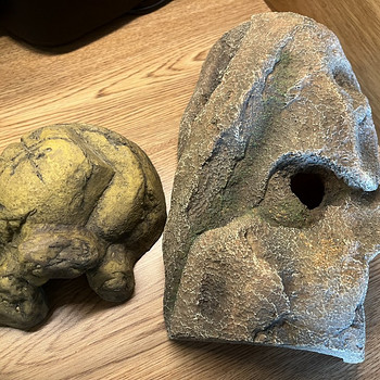 Terrariumi sisustus