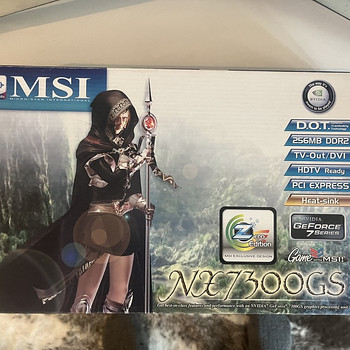 Видеокарта - MSI NX7300GS 256mb