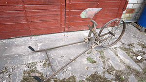 Vintage'i antiikne ader retro talu suvilate sisustus antiik (4 foto / 5)