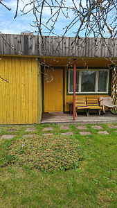 Terase tn 37, Jõhvi, Jõhvi vald, Ida-Virumaa (5 foto / 37)