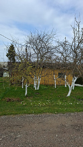 Terase tn 37, Jõhvi, Jõhvi vald, Ida-Virumaa (7 foto / 37)