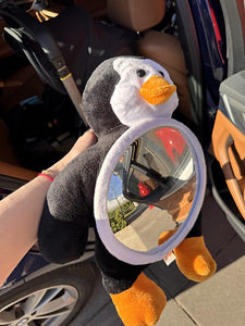 Doona I Isofix alusega (4 foto / 4)