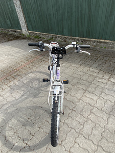 Laste jalgrattas (2 foto / 9)
