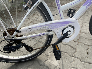 Laste jalgrattas (5 foto / 9)