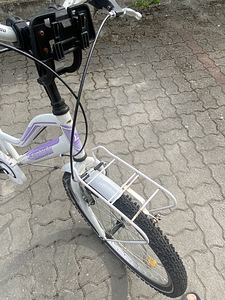 Laste jalgrattas (6 foto / 9)