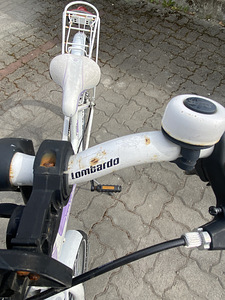 Laste jalgrattas (7 foto / 9)