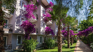 CLUB DIZALYA (3 фото из 10)