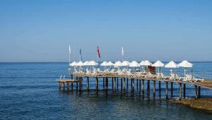CLUB DIZALYA (6 фото из 10)