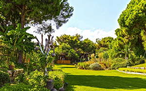REGNUM CARYA GOLF & SPA RESORT (7 фото из 10)