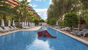 DELPHIN DELUXE (10 foto / 10)