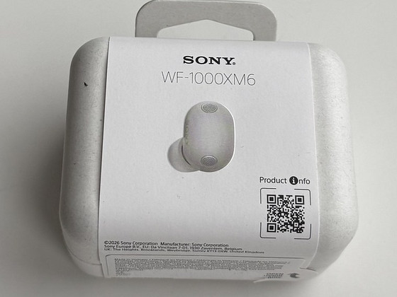 Sony WF-1000XM6 , Platinum Silver