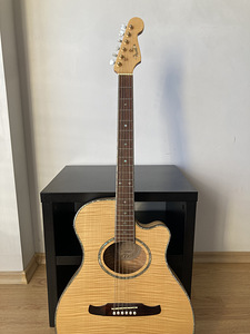 Haruldane Fender Casa Grande Elektroakustiline Kitarr (2 foto / 10)