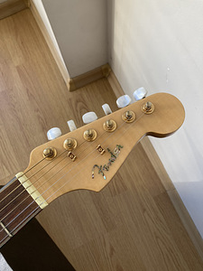 Haruldane Fender Casa Grande Elektroakustiline Kitarr (3 foto / 10)