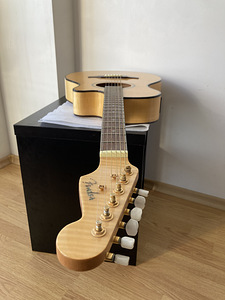 Haruldane Fender Casa Grande Elektroakustiline Kitarr (8 foto / 10)