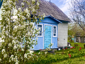 AÜ Energetik-3 üldmaa, Veekulgu, Narva, Ida-Virumaa (8 foto / 44)