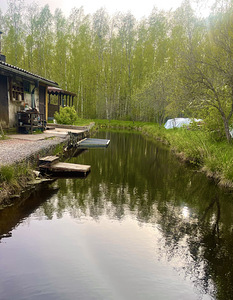 AÜ Energetik-3 üldmaa, Veekulgu, Narva, Ida-Virumaa (38 foto / 44)