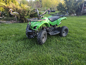 Atv (7 foto / 7)