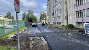 Земляные и копательные работы 24/7 , трактором JCB CX1 (7 фото из 9)
