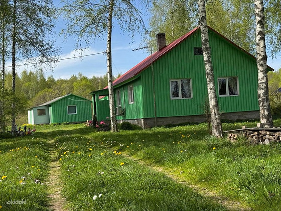 Ninasi, Mustvee vald, Jõgevamaa