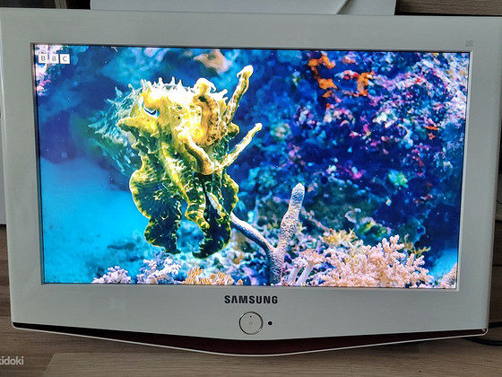 Телевизор Samsung 23" LE23R71W (белый)