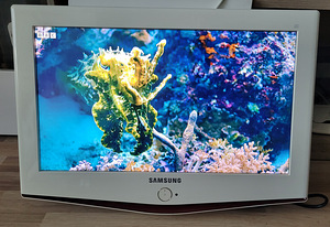 Samsung teler 23" LE23R71W (valge) (1 foto / 6)