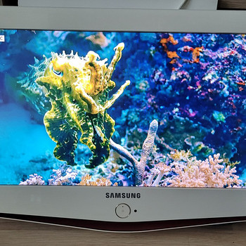Телевизор Samsung 23" LE23R71W (белый)