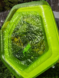 Продаю бассейн (2 фото из 7)