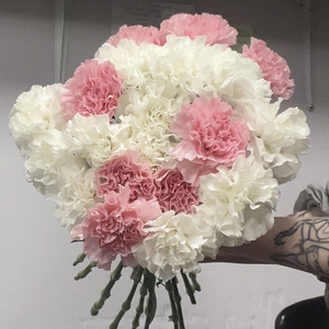 Otsin tööd floristina (1 foto / 1)