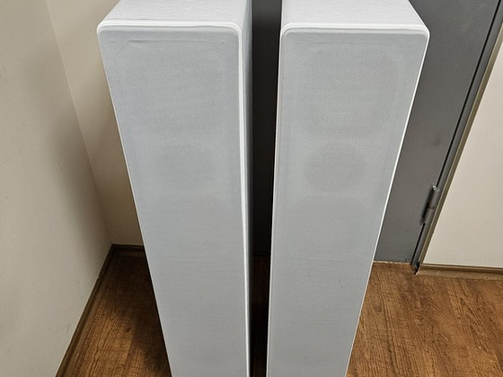 DYNAVOICE Challenger M-65 EX HiFi напольные колонки.