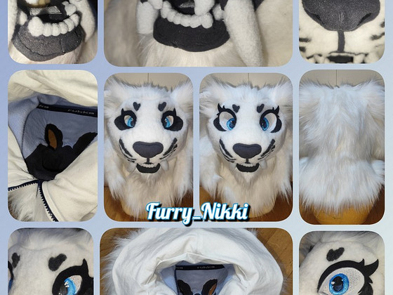 Furry fursuit
