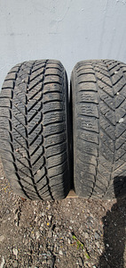 185/65R14 Debica Frigo 2. 7MM. 2TK. (3 foto / 3)