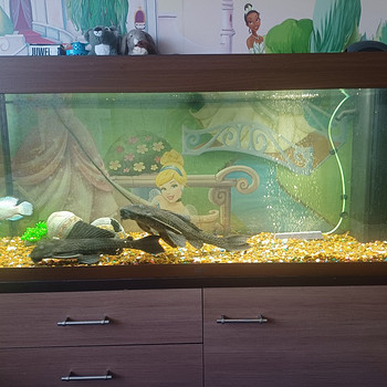 Led rio 240 akvaarium