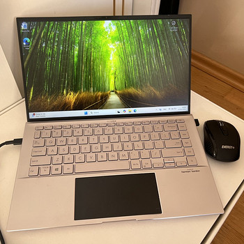 ASUS ZenBook 13 UX325EA