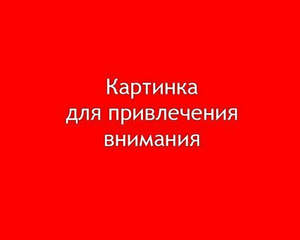 В поисках дополнительной работы (1 фото из 1)
