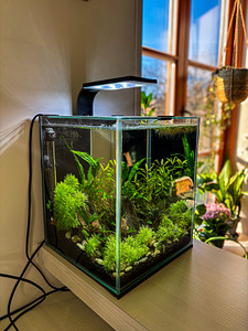 Akvaarium 20L (Aquascape) (1 foto / 4)