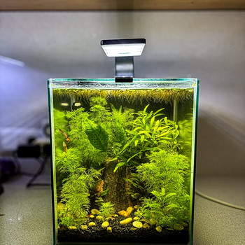 Akvaarium 20L (Aquascape)