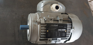 Motive Delphi elektrimootor 0,25 kW / 1400 rpm / 230-400 (2 foto / 6)