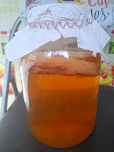 Kombucha/Teeseen (2 foto / 2)