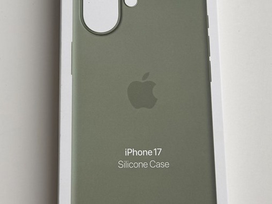 Apple iPhone 17 Silicone Case with Magsafe , Light Moss