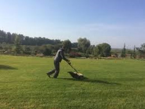 Kiire ja korralik muru niitmine (4 foto / 4)