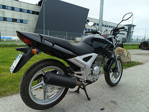Honda CBX 250, A2 (6 фото из 8)