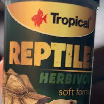 Toit sisalikele uus