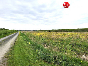 Põlluotsa, Tahu/Skåtanäs, Lääne-Nigula vald, Läänemaa (1 фото из 11)