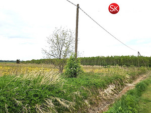 Põlluotsa, Tahu/Skåtanäs, Lääne-Nigula vald, Läänemaa (3 фото из 11)