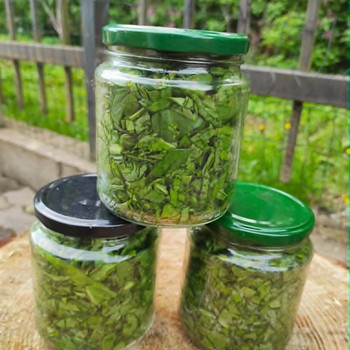 ЩАВЕЛЬ СВЕЖИЙ ECO Hapuoblikas
