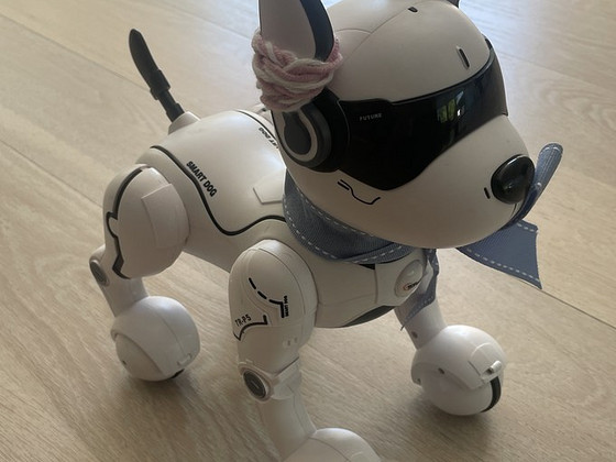 Voice controlled smart dog. Top Race. TR-P5