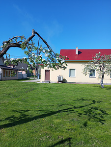 Inseneri tn 10a, Järve, Kohtla-Järve, Ida-Virumaa (6 foto / 18)