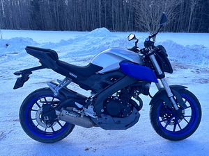 2016 Yamaha mt125a (3 фото из 10)