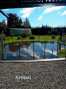 Kirsipuu tn 17, Tapa, Tapa vald, Lääne-Virumaa (2 фото из 14)