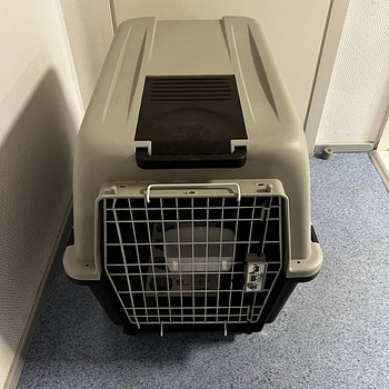 Transpordipuur